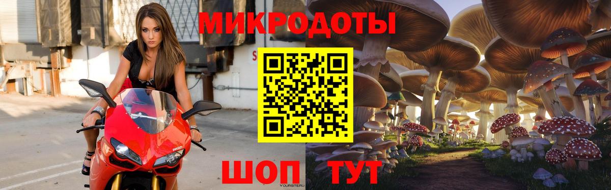 Саки  Псилоцибиновые грибы мицелий  Вход с VPN 