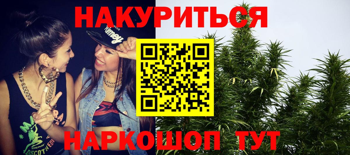 Конопля планчик Саки